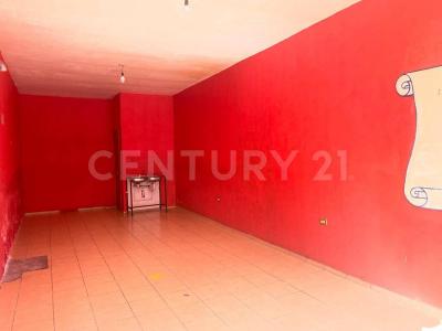 Aguascalientes, Aguascalientes 20295, México