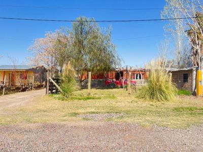 El Bosque , Rodeo Del Medio, Mendoza 5525, Argentina