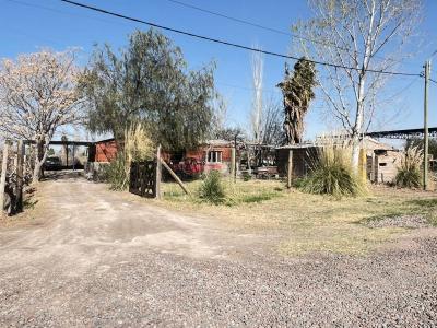 El Bosque , Rodeo Del Medio, Mendoza 5525, Argentina