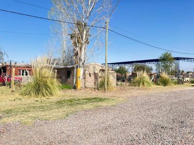 El Bosque , Rodeo Del Medio, Mendoza 5525, Argentina