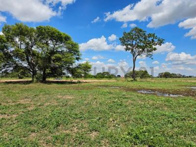 Sumuqué - Cotoca , Este, Santa Cruz 00001, Bolívia
