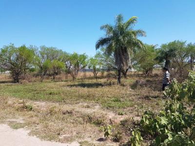 Sumuqué - Cotoca , Este, Santa Cruz 00001, Bolívia