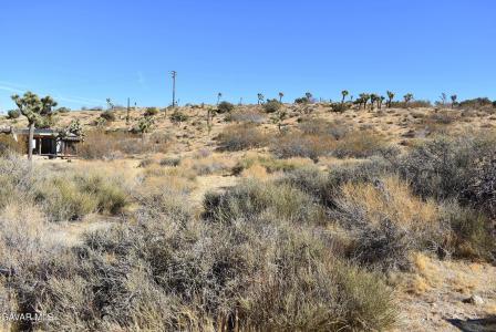 Indio Avenue APN 0588-081-11, Yucca Valley, 加利福尼亚州 92284, 美国