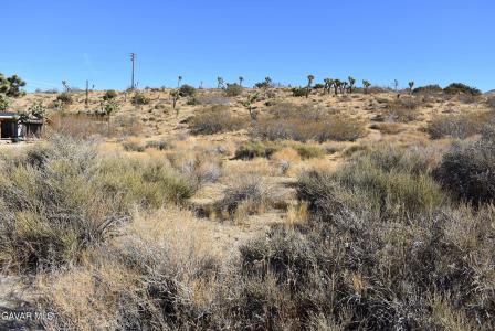 Indio Avenue APN 0588-081-11, Yucca Valley, 加利福尼亚州 92284, 美国