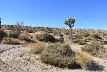 Indio Avenue APN 0588-081-11, Yucca Valley, 加利福尼亚州 92284, 美国