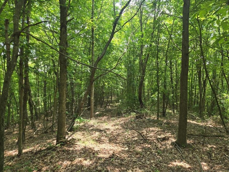 0 Stout Hollow Rd, Portsmouth, Ohio 45662