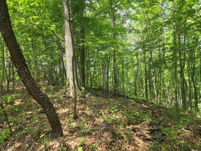 0 Stout Hollow Rd, Portsmouth, Ohio 45662