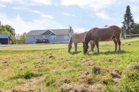 372 VT Route 105, Charleston, 佛蒙特州 05872, 美國