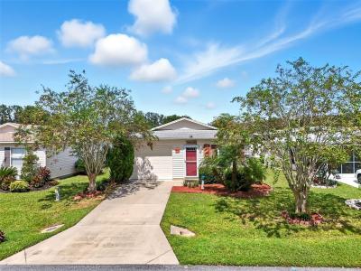 543 COTTAGE PARK LANE, LEESBURG, 佛罗里达州 34748, 美国