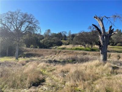 741 Long Hollow Dr, Coarsegold, Californie 93614, États-Unis