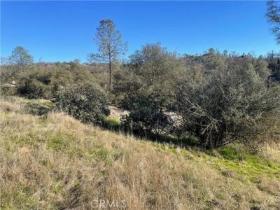 741 Long Hollow Dr, Coarsegold, Californie 93614, États-Unis