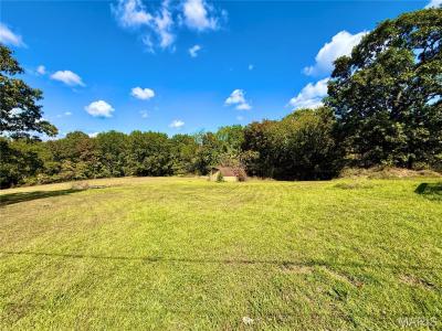 20585 Highway 28, Dixon, Missouri 65459, Stati Uniti