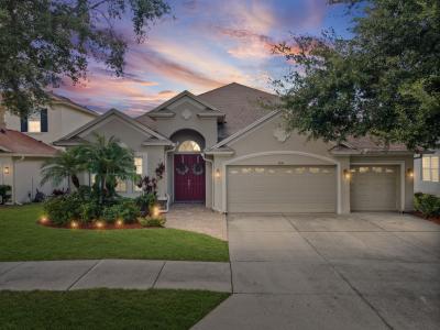 3041 Stonegate Falls Dr, Land O Lakes, Florida 34638, Estados Unidos