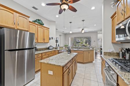 3041 Stonegate Falls Dr, Land O Lakes, Florida 34638