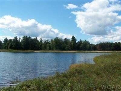 6485 Dunhill Drive, Canadian Lakes, Michigan 49346, USA