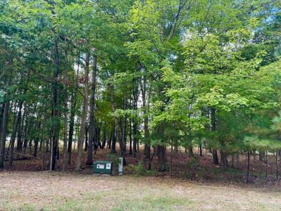 6485 Dunhill Drive, Canadian Lakes, 密西根州 49346, 美國