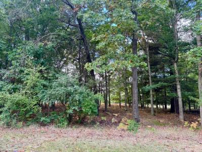 6485 Dunhill Drive, Canadian Lakes, 密西根州 49346, 美國