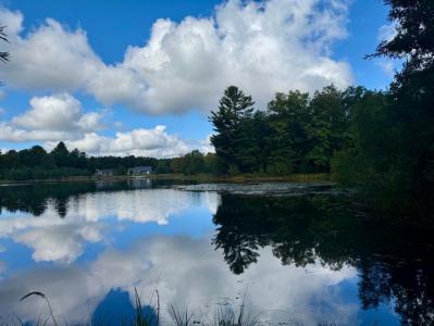 6485 Dunhill Drive, Canadian Lakes, 密西根州 49346, 美國