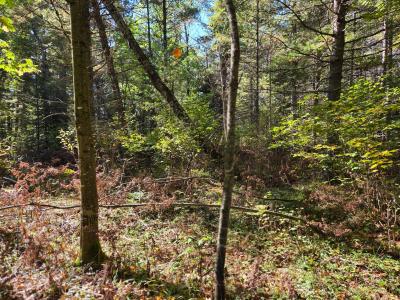 Lot 5 Sandy Ln, Land O Lakes, ויסקונסין 54540, ארצות הברית של אמריקה