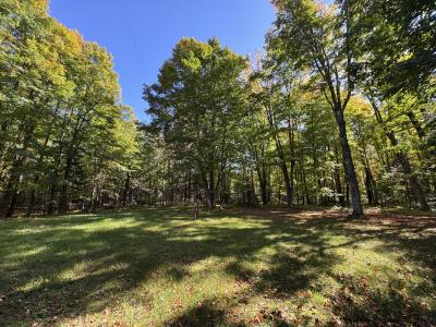 1663W CTH J, Mercer, Wisconsin 54547, HOA KỲ