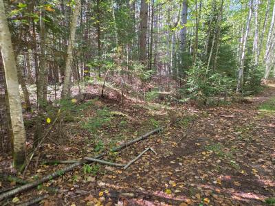 Lot 4 Sandy Ln, Land O Lakes, ויסקונסין 54540, ארצות הברית של אמריקה 