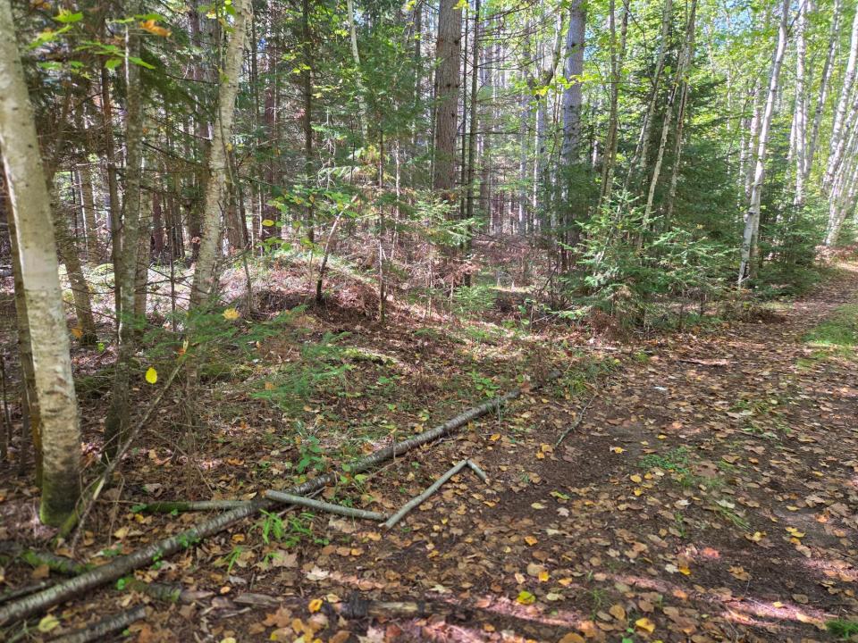 Lot 4 Sandy Ln, Land O Lakes, ויסקונסין 54540, ארצות הברית של אמריקה 