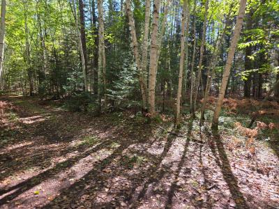 Lot 4 Sandy Ln, Land O Lakes, ויסקונסין 54540, ארצות הברית של אמריקה 