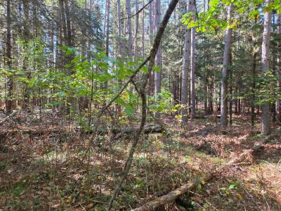 Lot 4 Sandy Ln, Land O Lakes, ויסקונסין 54540, ארצות הברית של אמריקה 