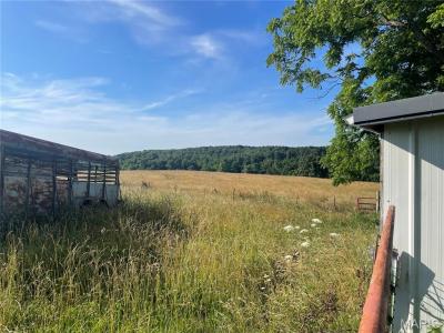 20680Hwy 32, Licking, Missouri 65542, Amerika Birleşik Devletleri