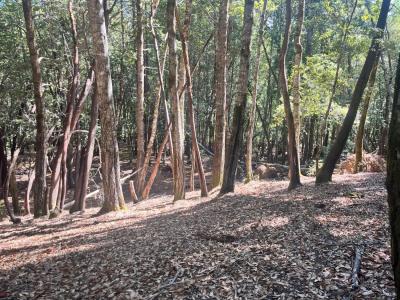 26093 Otter Drive, Willits, California 95490, Stati Uniti