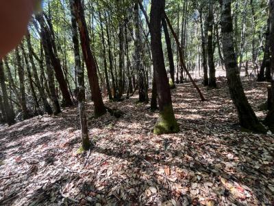 26093 Otter Drive, Willits, Kalifornien 95490, USA