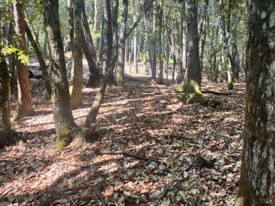 26093 Otter Drive, Willits, Kalifornien 95490, USA