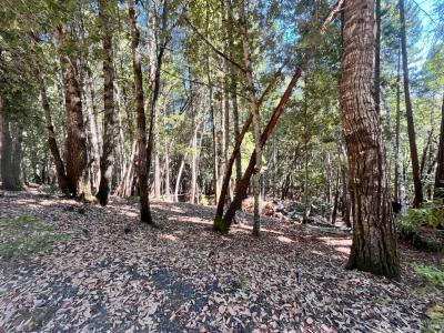 26093 Otter Drive, Willits, Kalifornien 95490, USA
