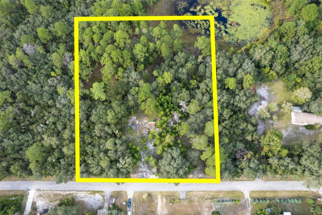 31615 Pinecrest Rd, Eustis, Floride 32736, États-Unis