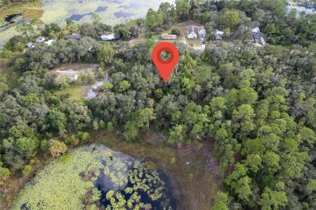 31615 Pinecrest Rd, Eustis, Floride 32736, États-Unis