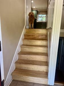 719 N Greenfield Drive, Freeport, Illinois 61032, Stati Uniti