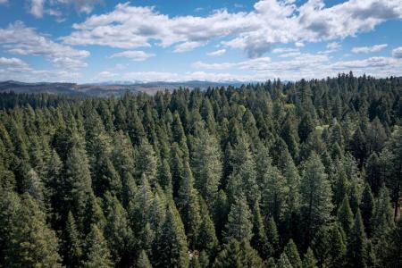 Blair Road, Pollock Pines, 加利福尼亚州 95726, 美国