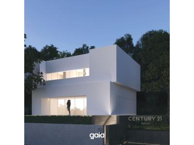 Mullet, Tirana, Albania