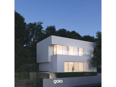 Mullet, Tirana, Albanien