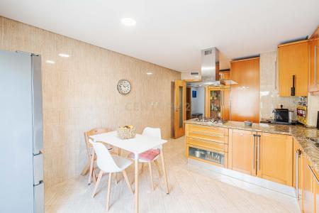 Vila Franca De Xira, 葡京 2600-771, 葡萄牙