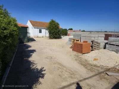 Coruche, سانتاريم 2100-509, البرتغال