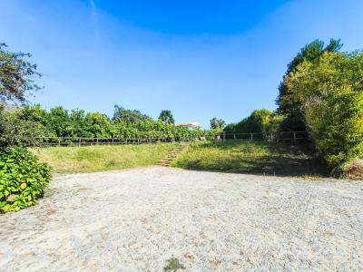 Amarante, Porto 4605-115, Portugal