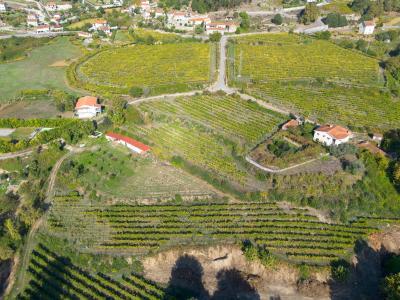 Amarante, Porto 4605-115, Portugal