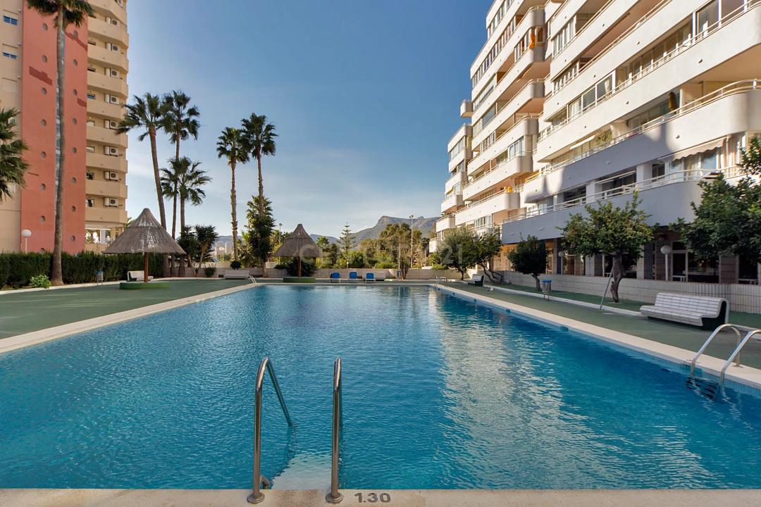 Alacant/Alicante, Comunitat Valenciana 03710, İspanya