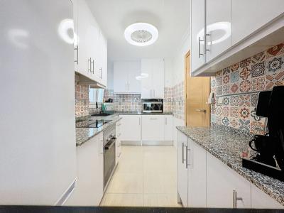 Alacant/Alicante, Comunitat Valenciana 03182, Tây Ban Nha