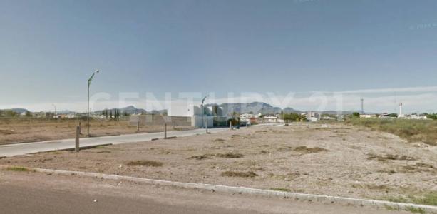 Delicias, Chihuahua 33077, Mexico