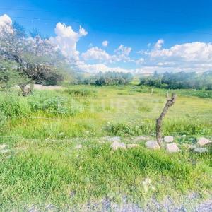 San Jose Iturbide, Guanajuato 37985, México