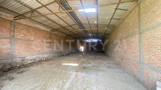 San Jose Iturbide, Guanajuato 37985, Mexique