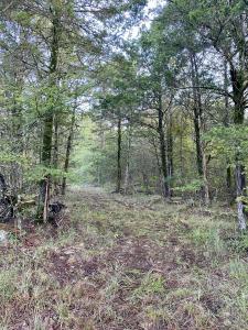 5 Acres Off PR 2772, Lamar, Arkansas 72846, USA