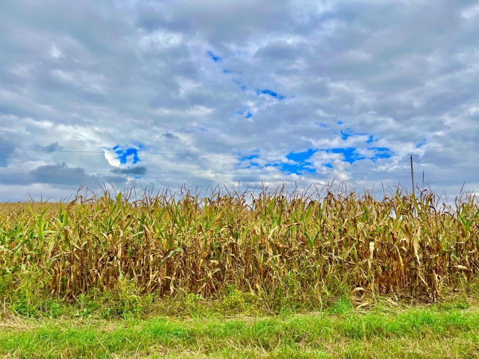 0 Crampton Road, Hillsdale, Michigan 49242, États-Unis